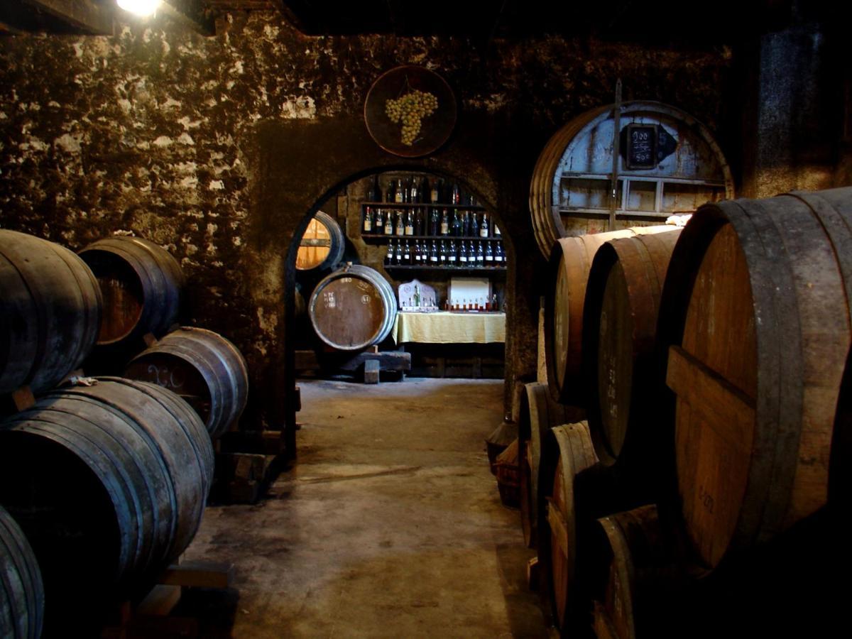 Hotel Le Relais De Saint-Preuil, The Originals Relais Vignes Du Cognac Zewnętrze zdjęcie