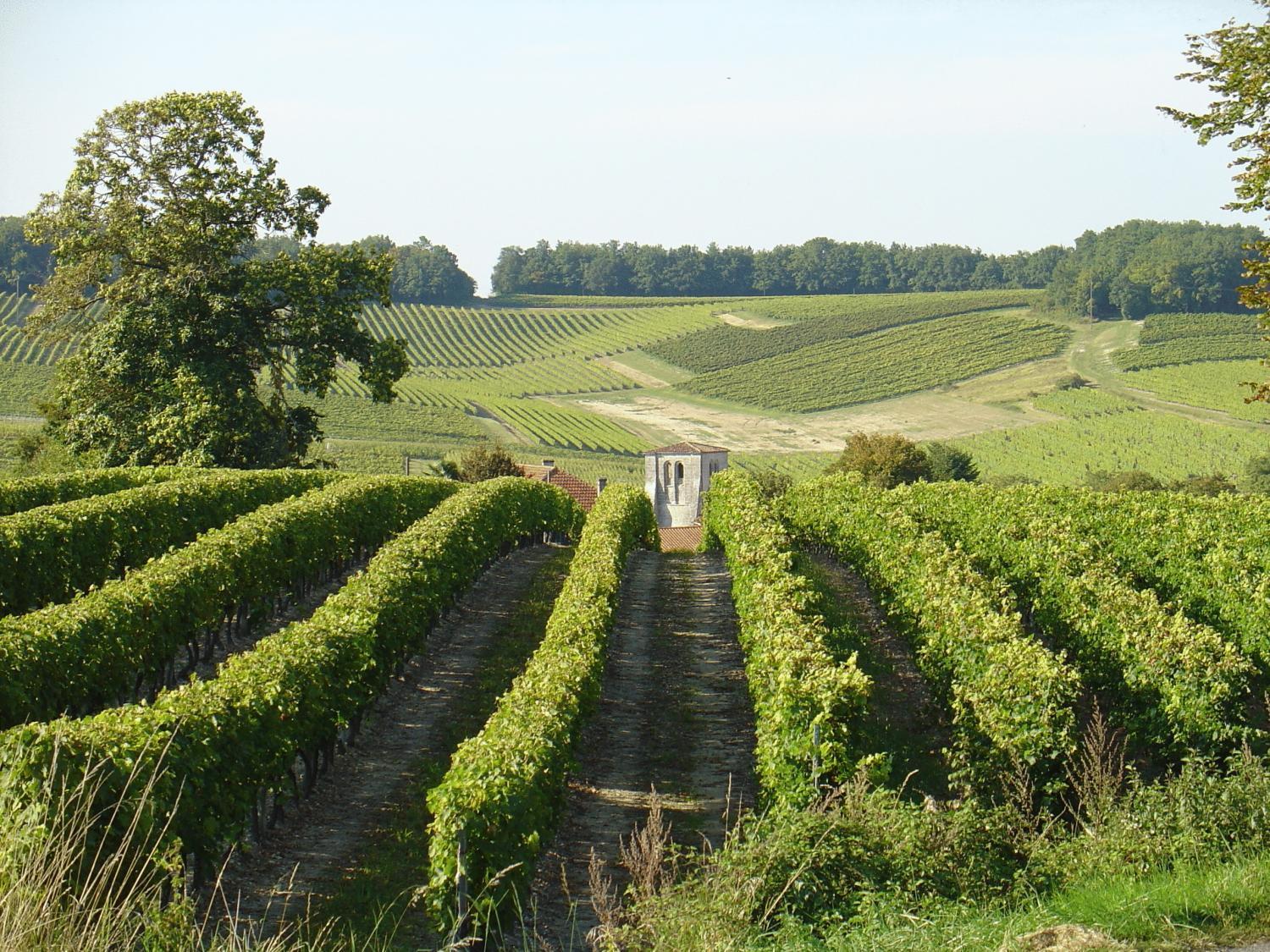 Hotel Le Relais De Saint-Preuil, The Originals Relais Vignes Du Cognac Zewnętrze zdjęcie